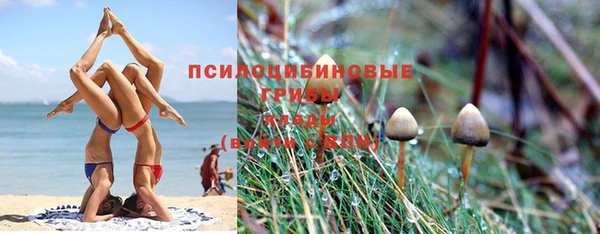 соль курить ск Нея