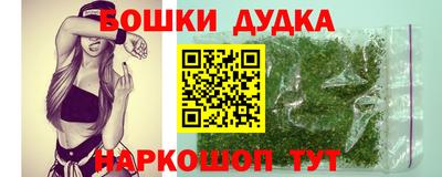 гидра Беслан