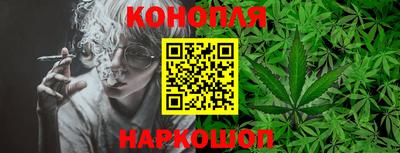 гидра Беслан