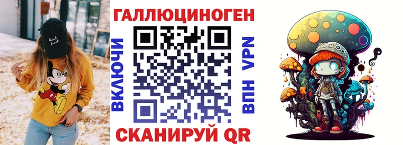 Псилоцибиновые грибы Psilocybe Красноуфимск